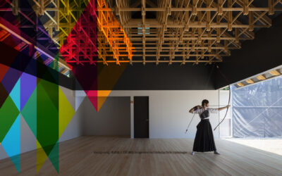 Award Force + disability